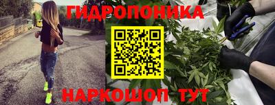 стаф Партизанск